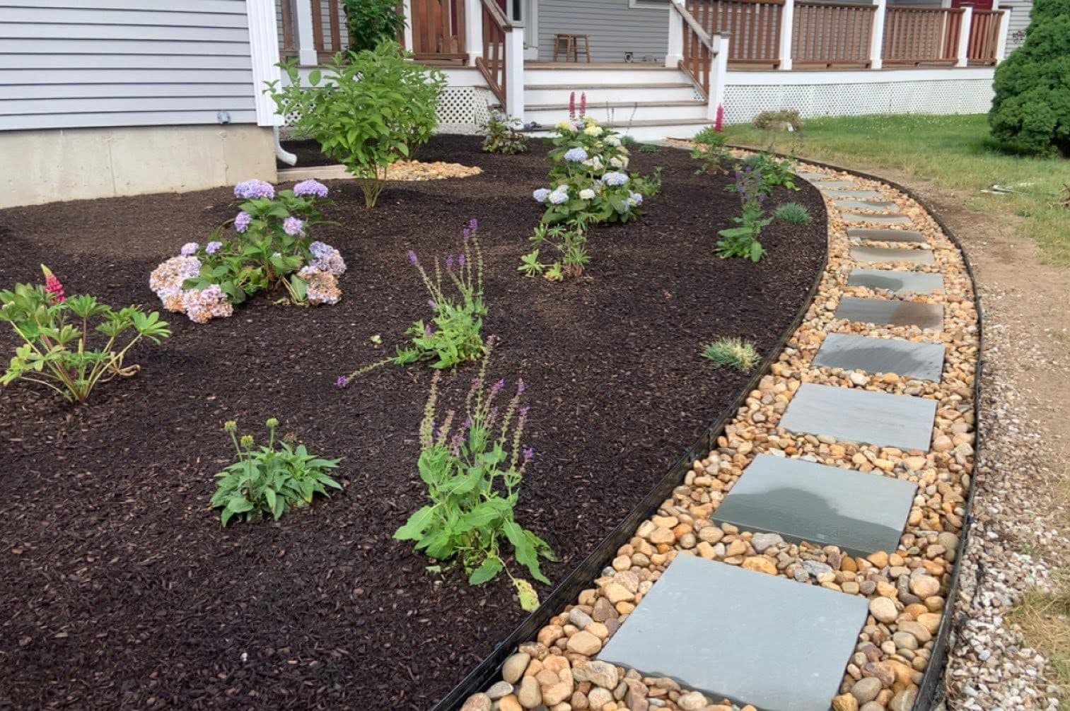 Mulched bed with hydrangeas and salvia bordered by a flagstone path in river rock