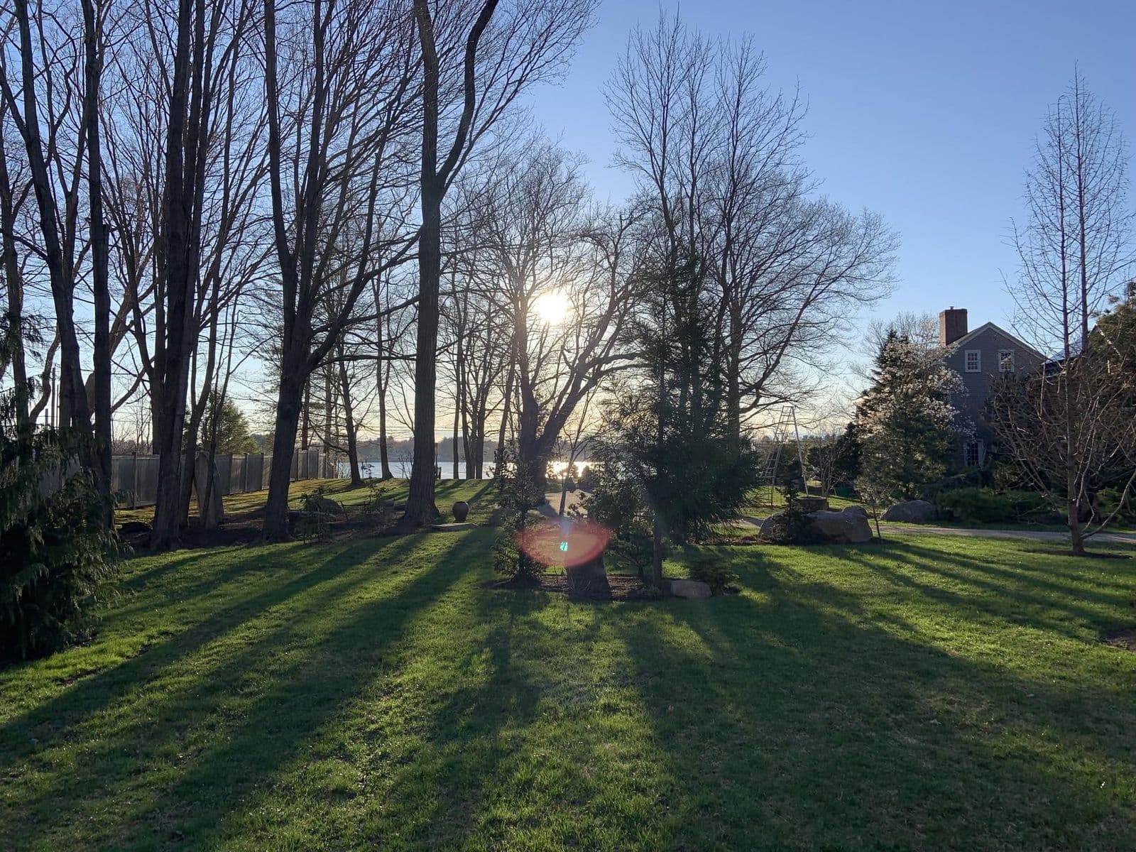Mowed lawn with bare trees casting long shadows toward a waterfront at sunset