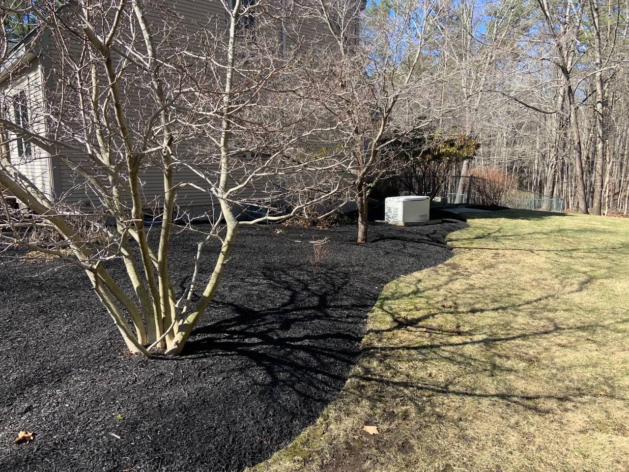 Curved fresh dark mulch bed hugging a house foundation in early spring with bare shrubs and a lawn edge